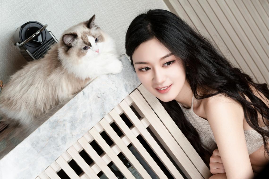 四川广绵高速扩容项目刘家咀特大桥合龙